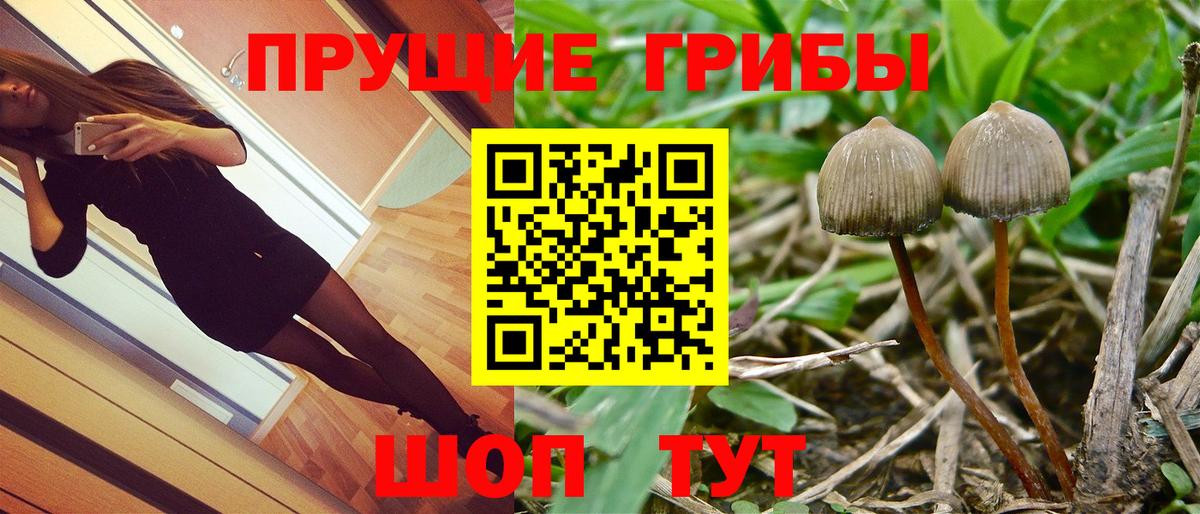 Галлюциногенные грибы MAGIC MUSHROOMS  Вход с VPN  Мыски  Галлюциногенные грибы мицелий 